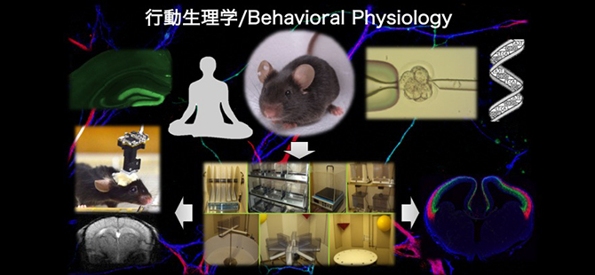 RESEARCH CENTER FOR IDLING BRAIN SCIENCE